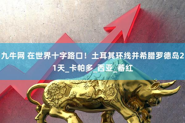 九牛网 在世界十字路口！土耳其环线并希腊罗德岛21天_卡帕多_西亚_蕃红