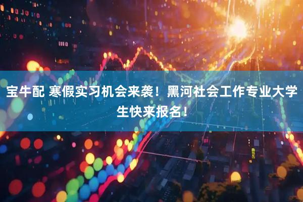 宝牛配 寒假实习机会来袭！黑河社会工作专业大学生快来报名！